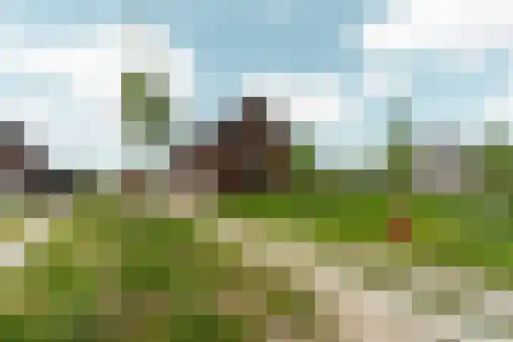 Speulderbos 3 Almere thumbnail 6