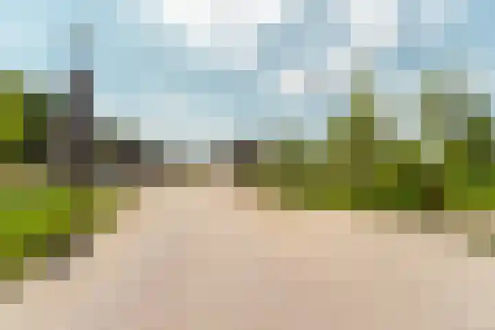 Speulderbos 3 Almere thumbnail 63