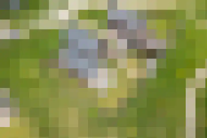 Speulderbos 3 Almere thumbnail 65