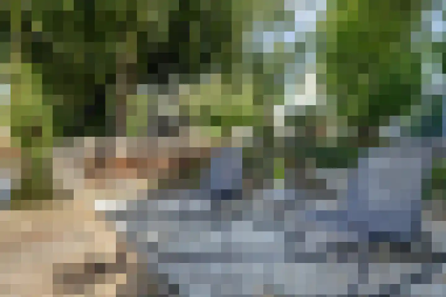 Speulderbos 3 Purmerend thumbnail 4