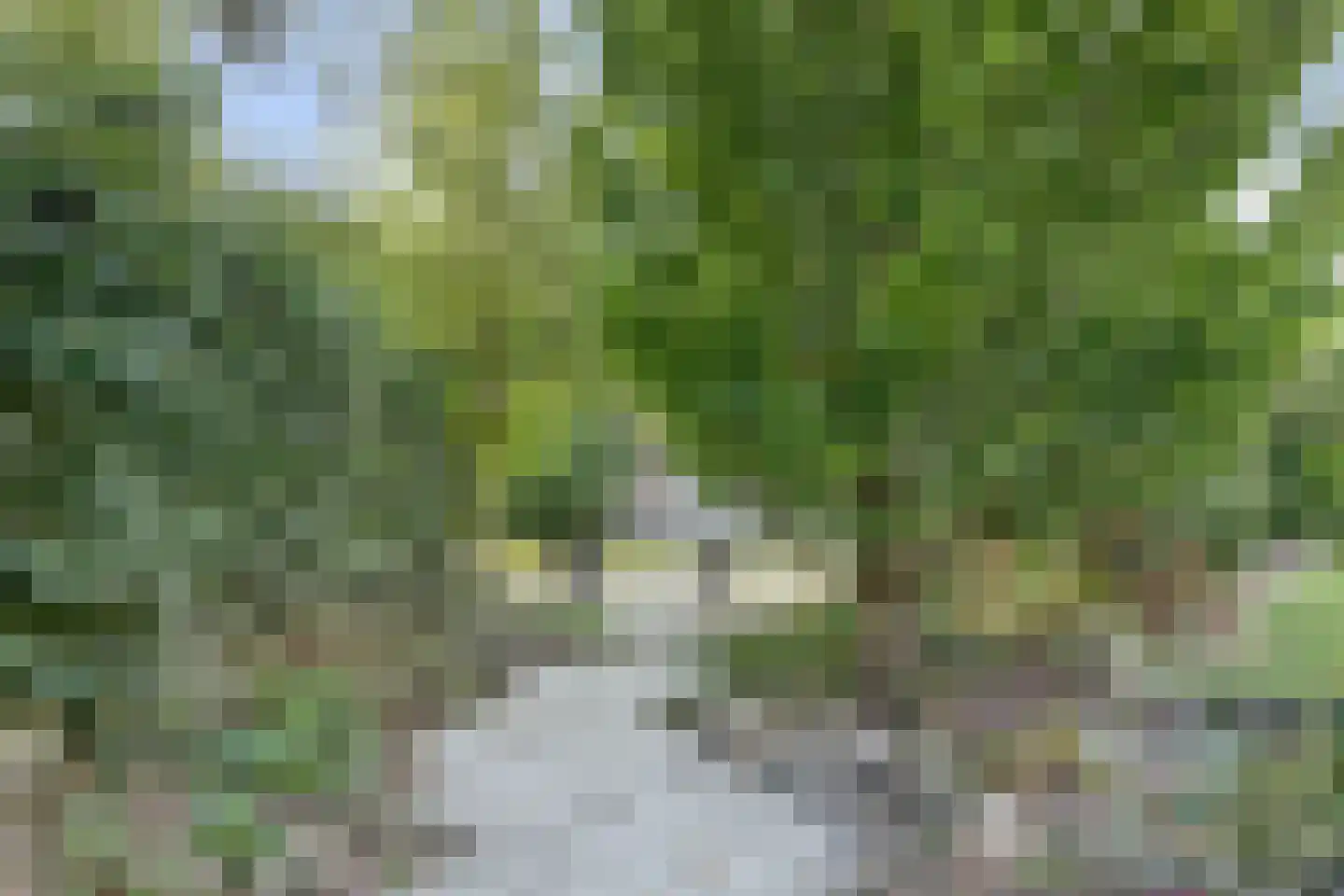 Speulderbos 3 Purmerend thumbnail 51