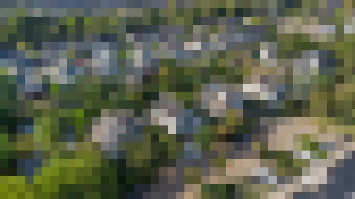 Speulderbos 3 Purmerend thumbnail 55