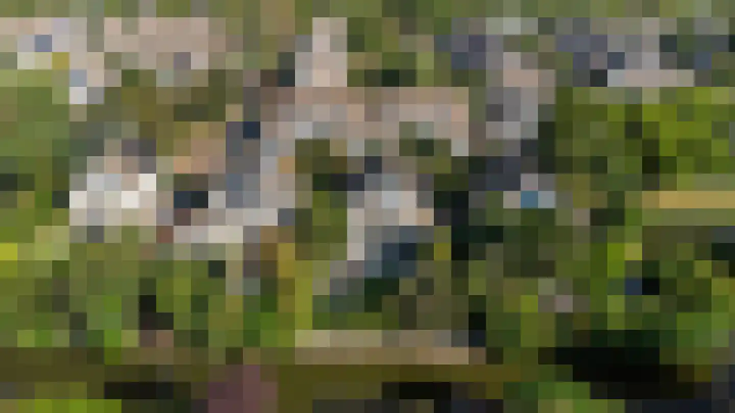 Speulderbos 3 Purmerend thumbnail 57