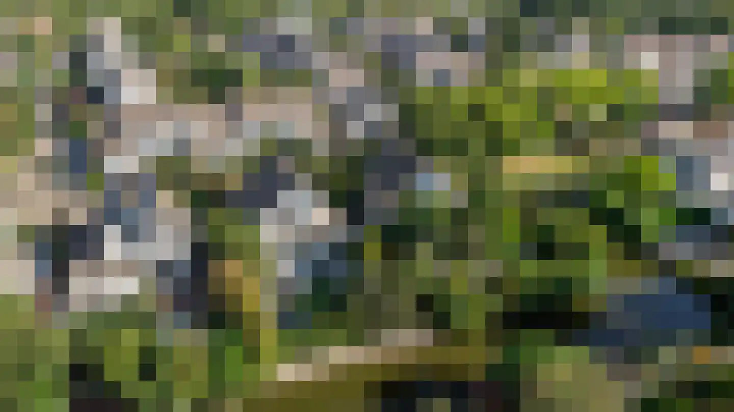 Speulderbos 3 Purmerend thumbnail 58