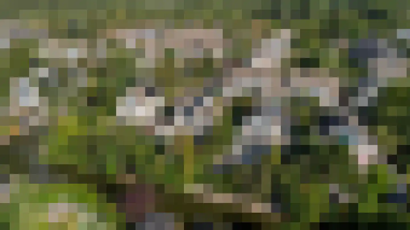 Speulderbos 3 Purmerend thumbnail 59