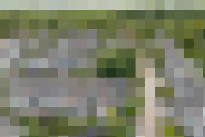 Speulderbos 31 Purmerend thumbnail 11