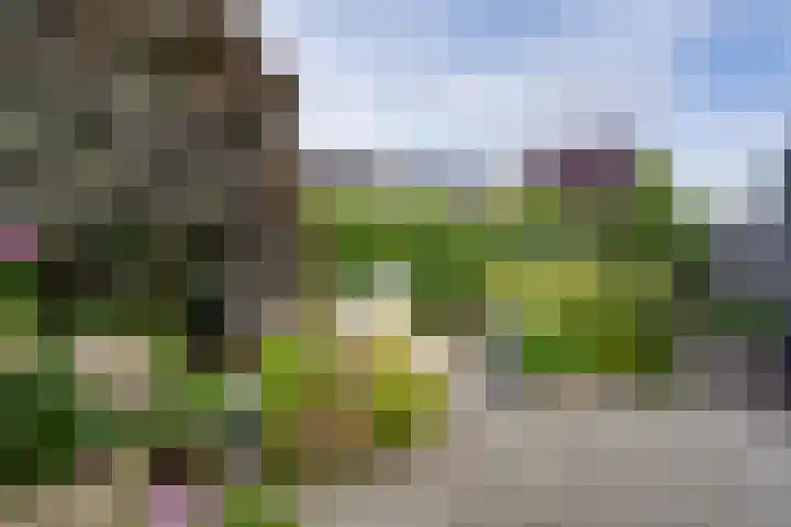 Speulderbos 31 Purmerend thumbnail 33