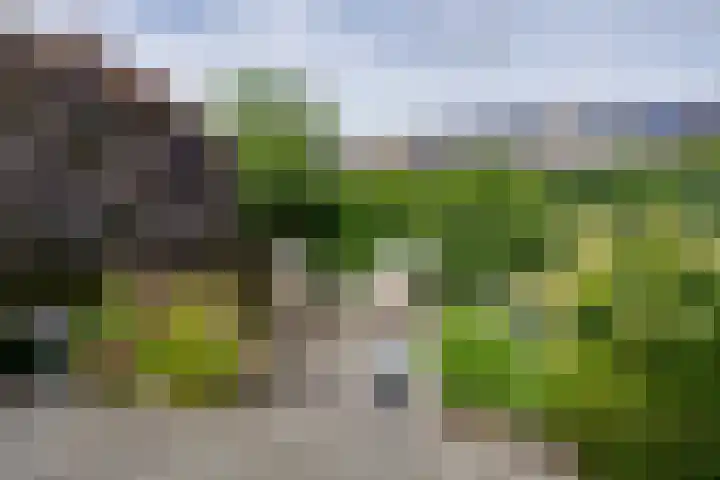 Speulderbos 31 Purmerend thumbnail 34