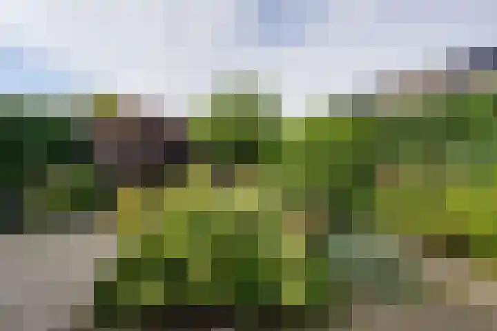Speulderbos 31 Purmerend thumbnail 35