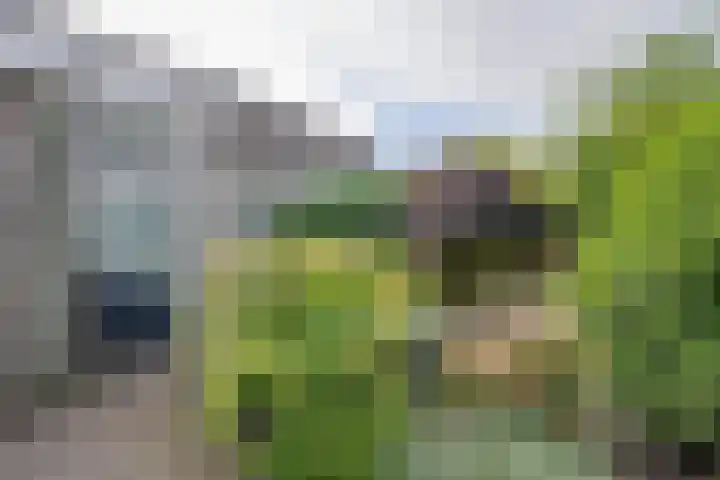 Speulderbos 31 Purmerend thumbnail 36