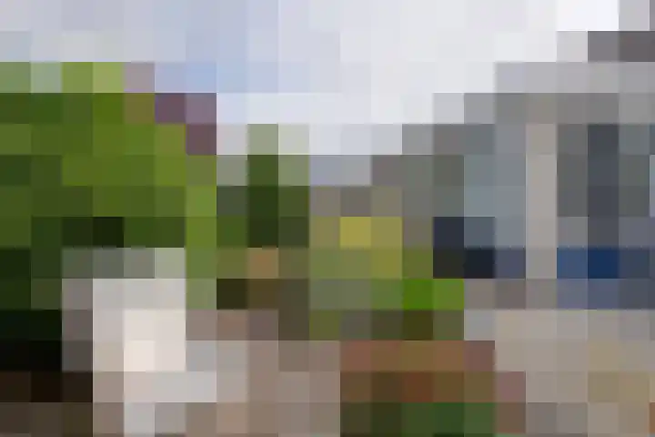 Speulderbos 31 Purmerend thumbnail 38