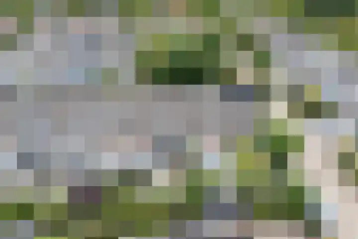 Speulderbos 31 Purmerend thumbnail 7