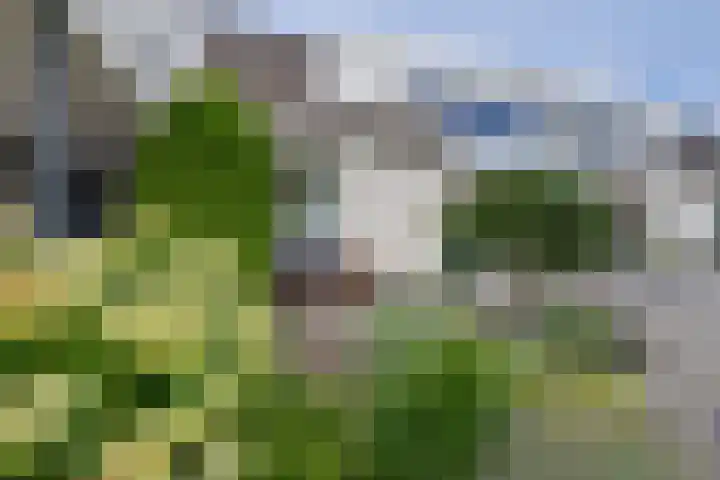 Speulderbos 31 Purmerend thumbnail 9