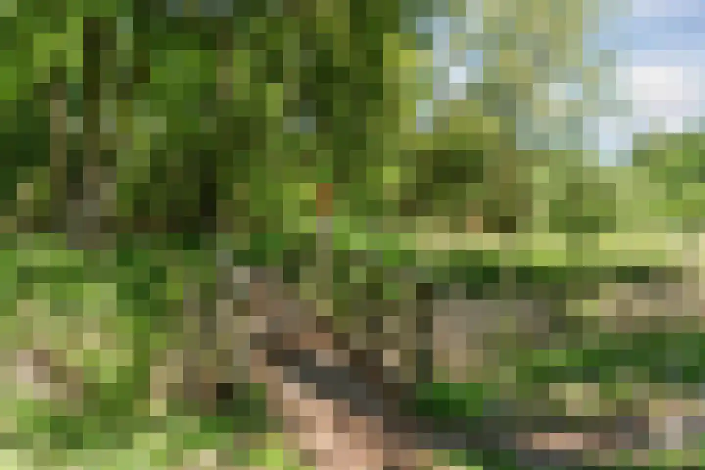 Speulderbos 38 Almere thumbnail 58