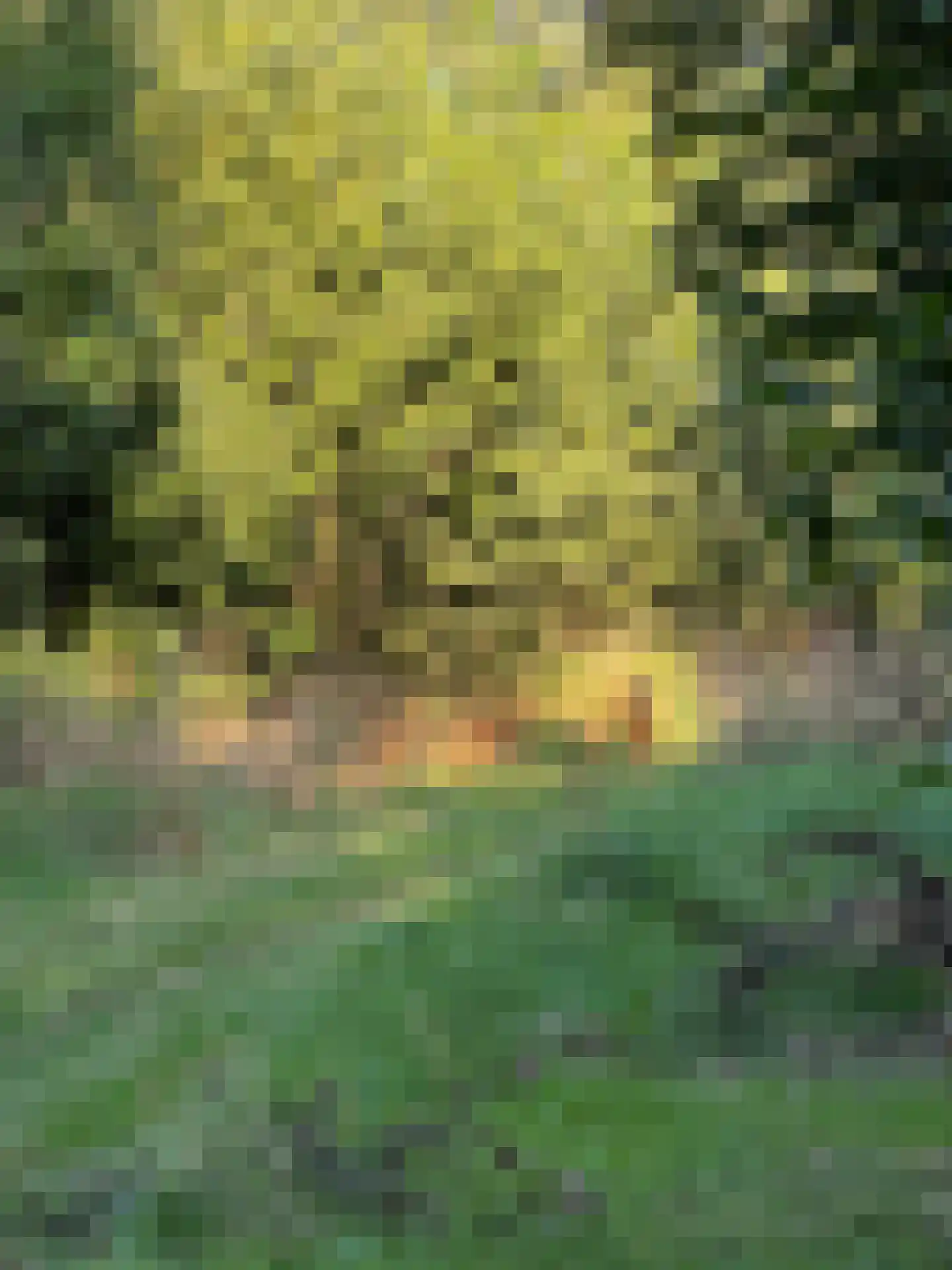 Speulderbos 38 Almere thumbnail 60