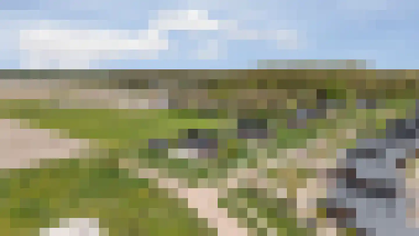 Speulderbos 38 Almere thumbnail 63