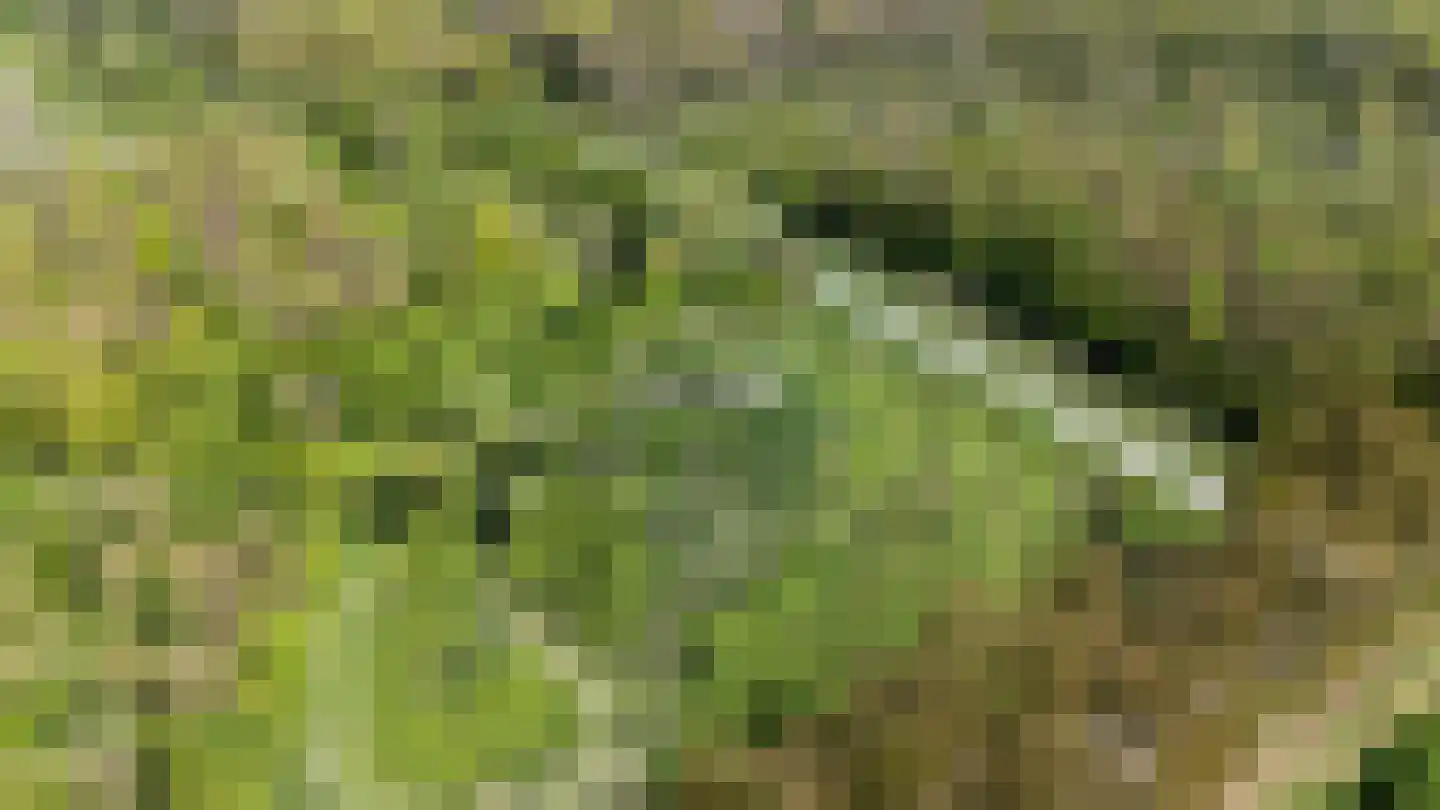 Speulderbos 38 Almere thumbnail 71