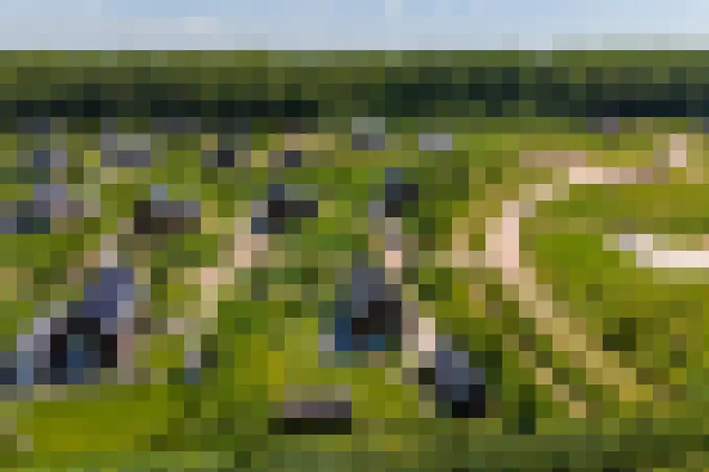 Speulderbos 38 Almere thumbnail 80