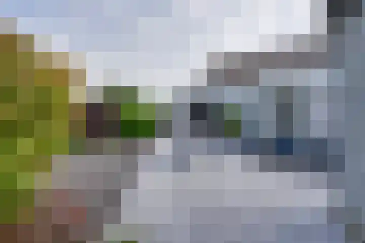 Speulderbos 63 Purmerend thumbnail 31