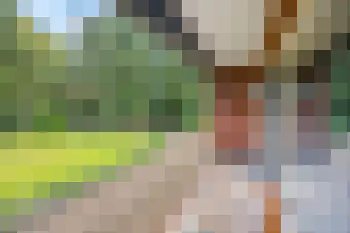 Speulderbosweg 35 Garderen thumbnail 10