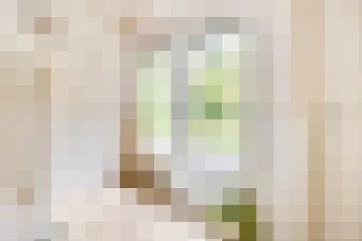 Speulderbosweg 35 Garderen thumbnail 12