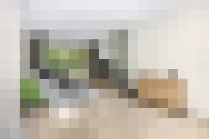 Speulderbosweg 35 Garderen thumbnail 13