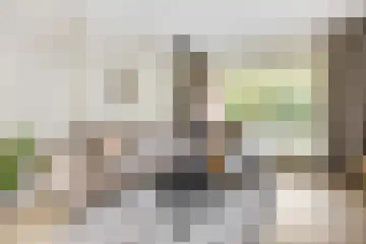 Speulderbosweg 35 Garderen thumbnail 14