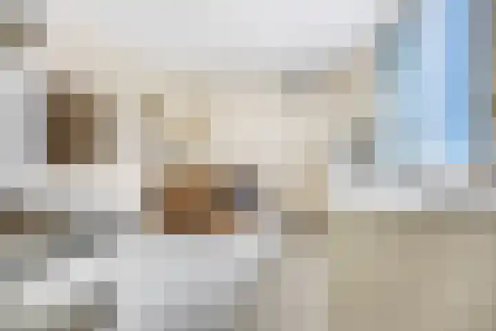 Speulderbosweg 35 Garderen thumbnail 19
