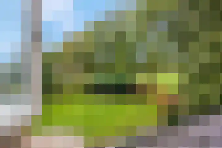 Speulderbosweg 35 Garderen thumbnail 41