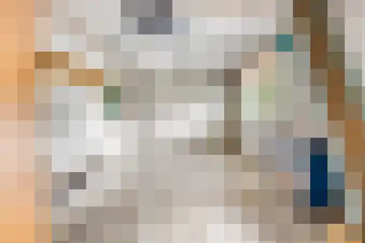 Speulderbosweg 35 Garderen thumbnail 43
