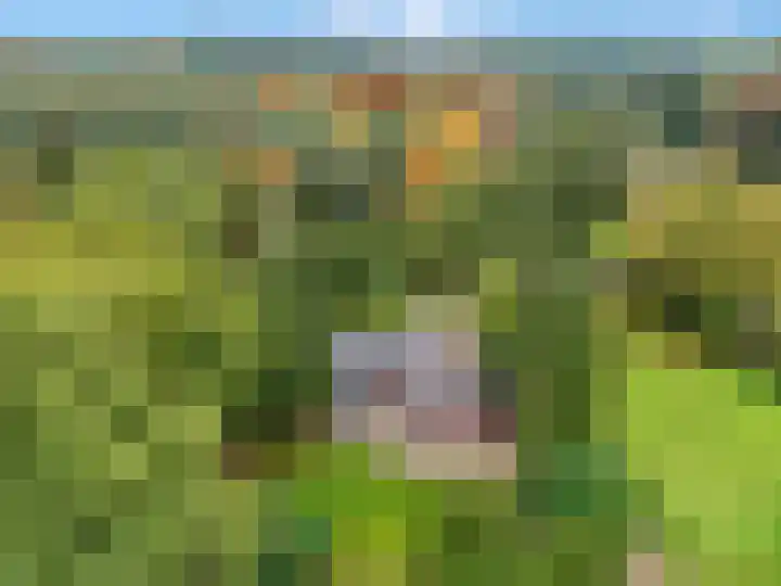 Speulderbosweg 35 Garderen thumbnail 5