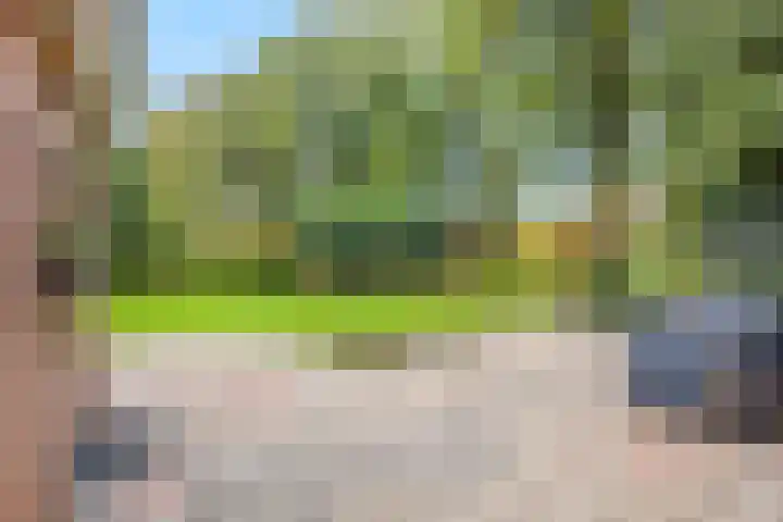 Speulderbosweg 35 Garderen thumbnail 53