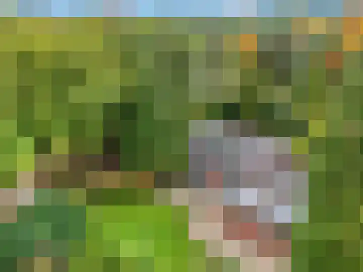 Speulderbosweg 35 Garderen thumbnail 55