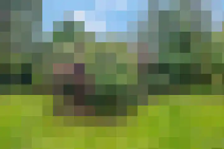 Speulderbosweg 35 Garderen thumbnail 56