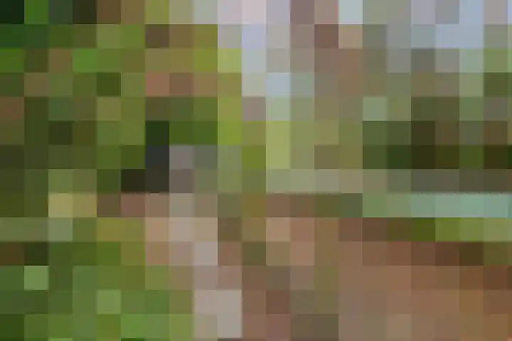 Speulderbosweg 35 Garderen thumbnail 57