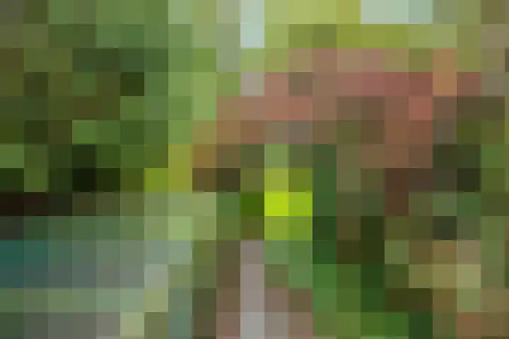 Speulderbosweg 35 Garderen thumbnail 58