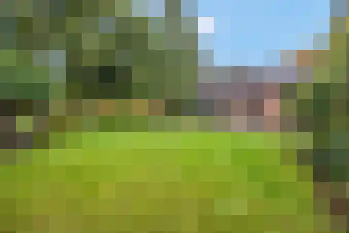 Speulderbosweg 35 Garderen thumbnail 59