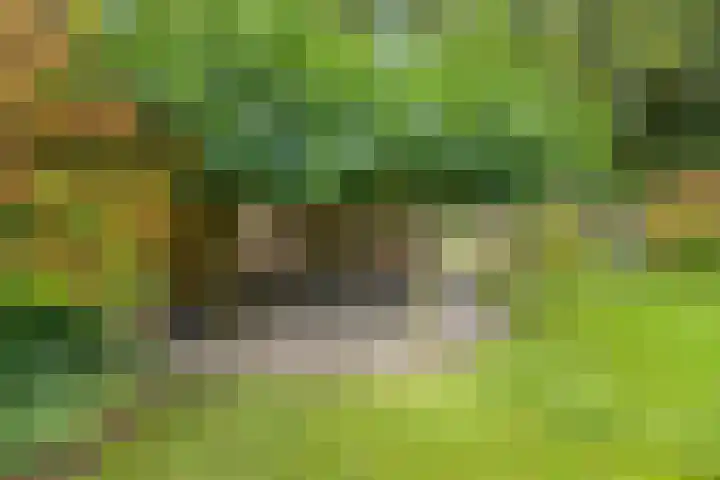 Speulderbosweg 35 Garderen thumbnail 60