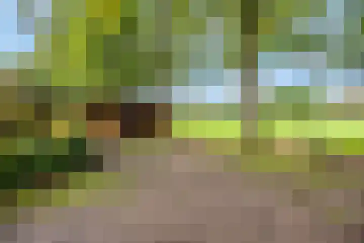 Speulderbosweg 35 Garderen thumbnail 61