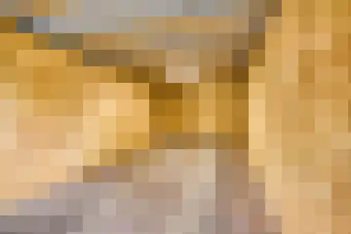 Speulderbosweg 35 Garderen thumbnail 62