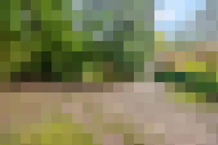 Speulderbosweg 35 Garderen thumbnail 63