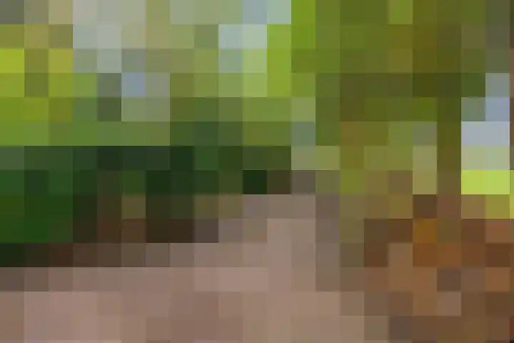 Speulderbosweg 35 Garderen thumbnail 64