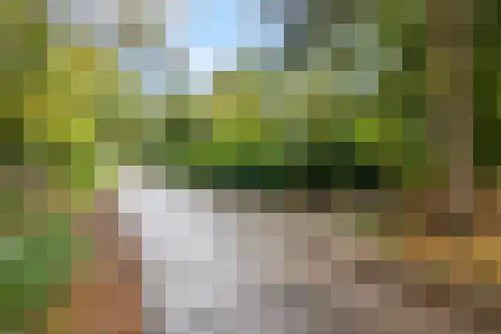 Speulderbosweg 35 Garderen thumbnail 65
