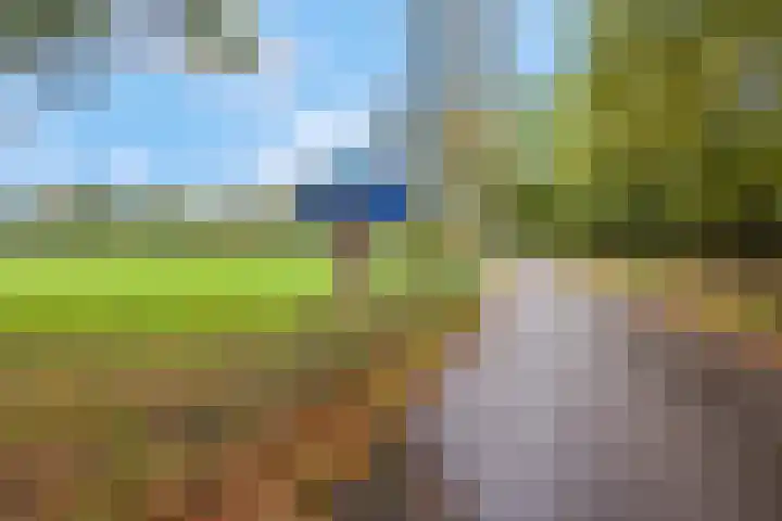 Speulderbosweg 35 Garderen thumbnail 66