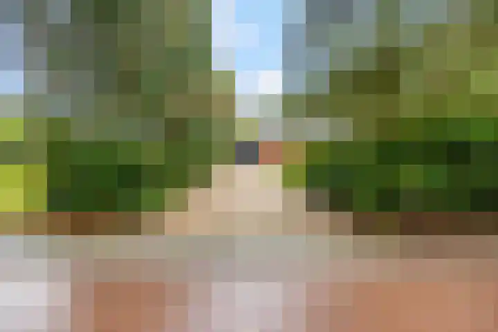 Speulderbosweg 35 Garderen thumbnail 67
