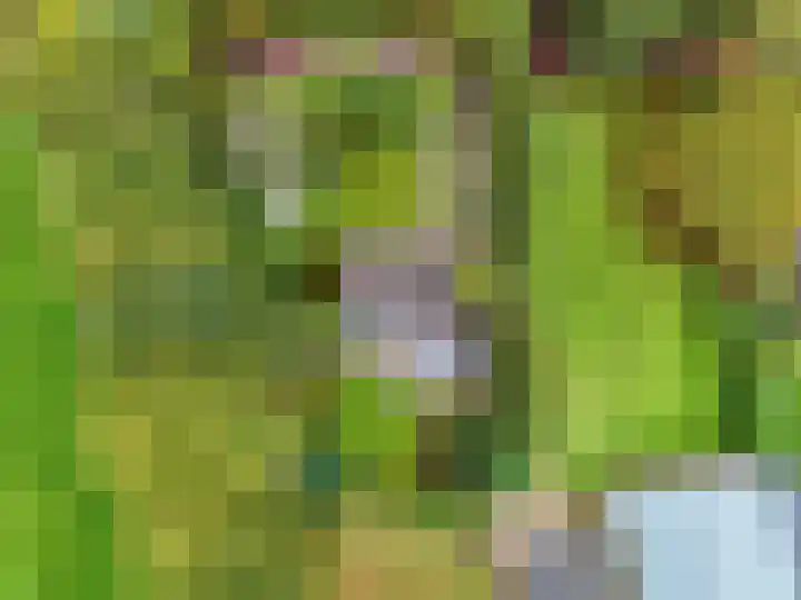 Speulderbosweg 35 Garderen thumbnail 7