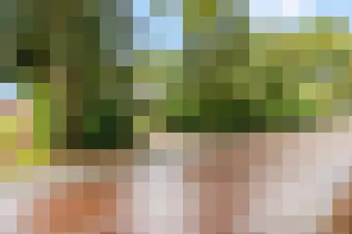 Speulderbosweg 35 Garderen thumbnail 8