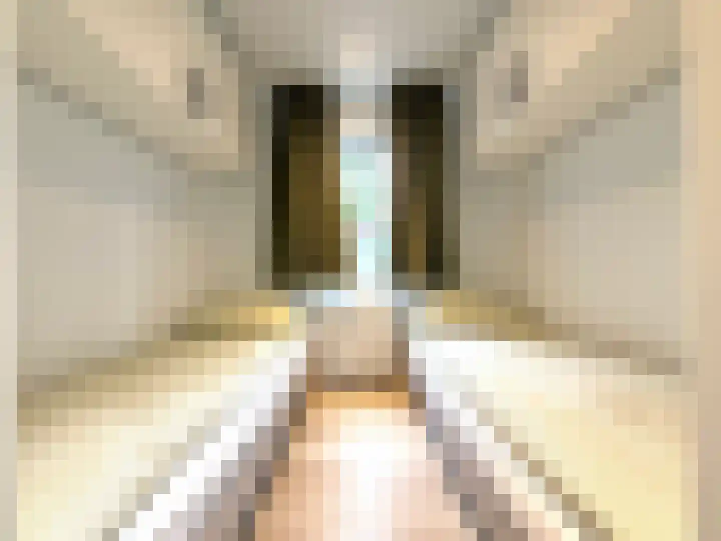 Speulderbosweg 57 A21 Garderen thumbnail 15