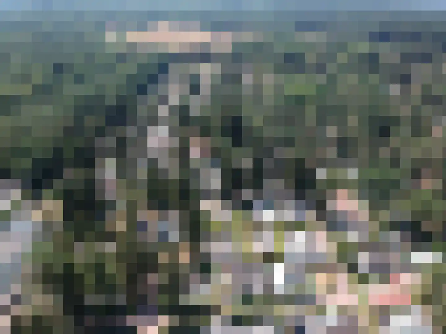 Speulderbosweg 57 A21 Garderen thumbnail 21