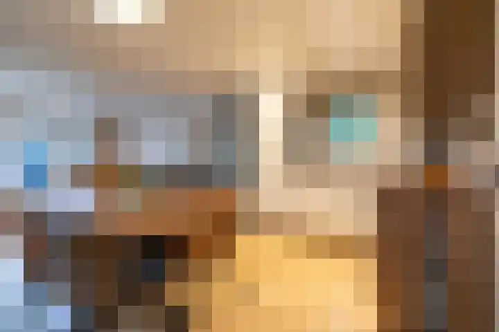Speulderbosweg 57 B26 Garderen thumbnail 12